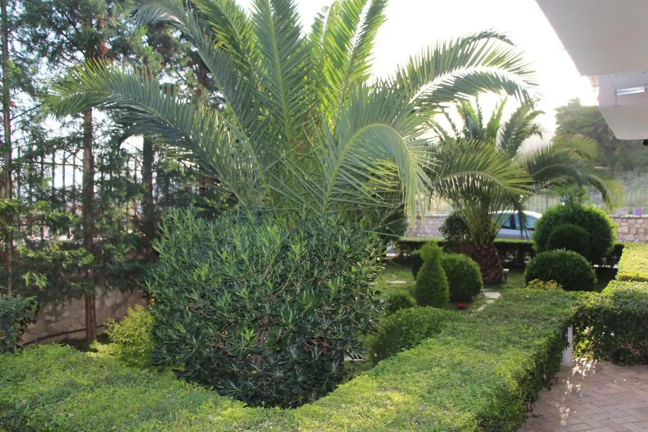 סרנדה Vila Mateo